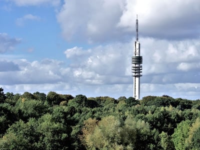 Four broadcasting organizations central to reform, smaller role for NPO 
