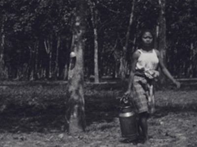 The Dutch documentary 'The Clearing' has been selected for FIDMarseille. 