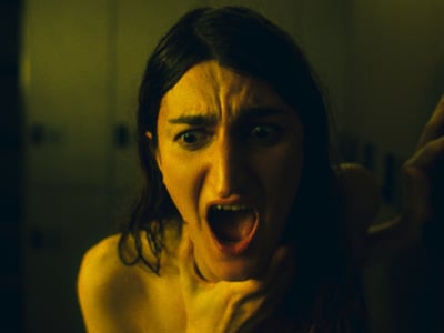 The Dutch genre film: The return of the imagination? 