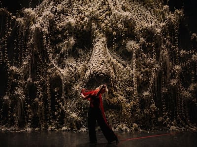 Play-as-horror-film Boulder shines a spotlight on ageism 