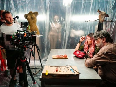 Marjan Gavrilovski starts filming ants 