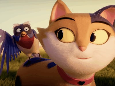 Road film of a calico cat 