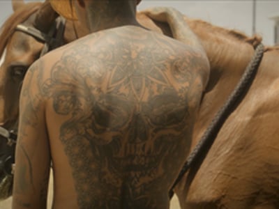IFFR: Tittel del Mar reviews Horsepower 