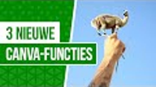 Nieuwe (AI-)tools & functies in Canva | Frankwatching