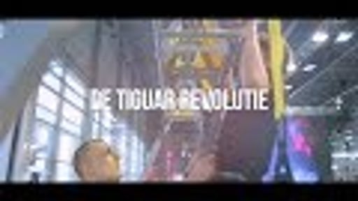 De Tiguar Revolutie