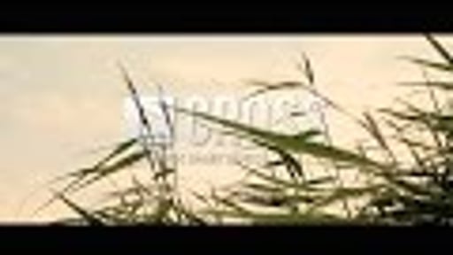 Cross video - Showreel 2017