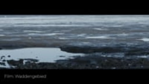 Showreel 2018