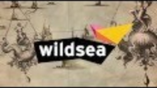 Wildsea Promo Animation