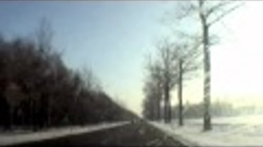 Dog Hit - Solex vs. Cristina Martinez + Jon Spencer