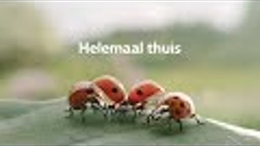 Essent "Helemaal Thuis"