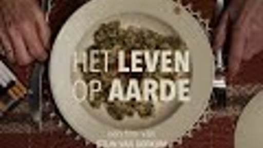 HET LEVEN OP AARDE - short film