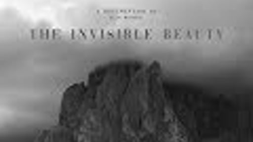 The Invisible Beauty (Documentary)