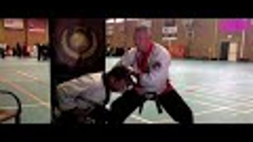 AMPD Coverage of The Int. Martial Arts Hall Of Fame The Netherlands