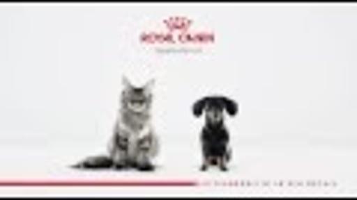 Royal Canin -  Uitzonderlijk in elk detail