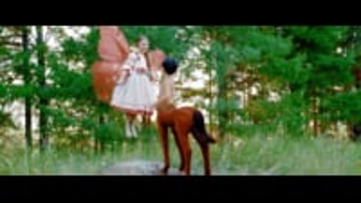 Showreel A. T.  Karapetian