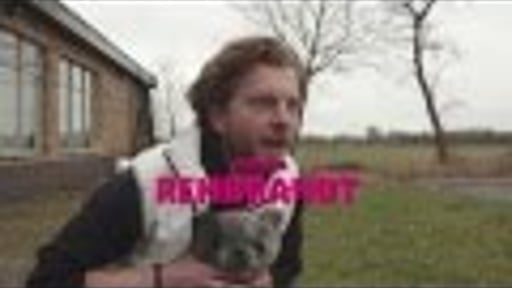 T-Mobile Cat Rescue Service