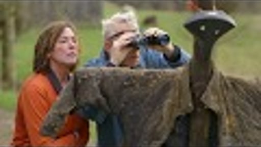 B&B | KORTE FILM, 3 Awards en 2 Nominaties