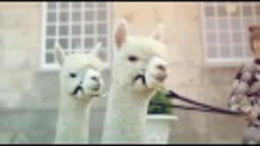 Mac Donalds NL : Alpaca