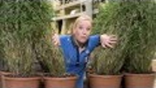 Isabel Commandeur in commercial GAMMA