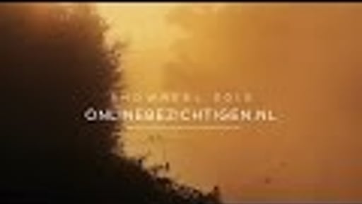 Onlinebezichtigen.nl | Showreel 2015