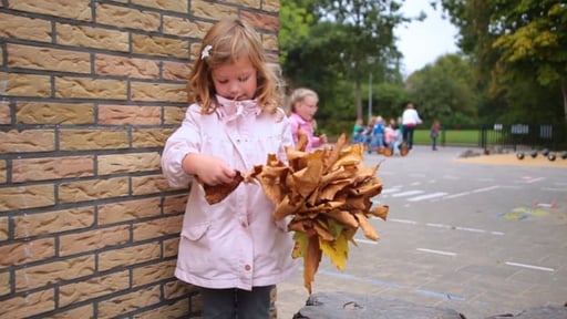 Dit is de Otterkolken school van Stichting Tabijn
