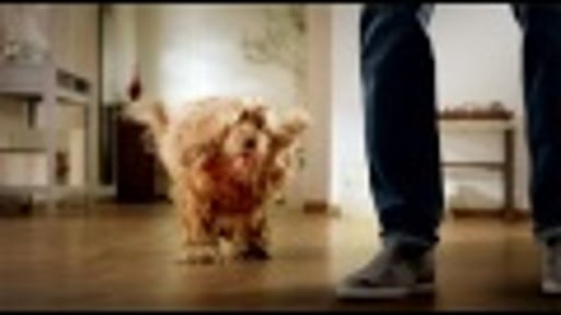 We Need a Bigger Canvas - Hill's Pet Obesity Video -  2016