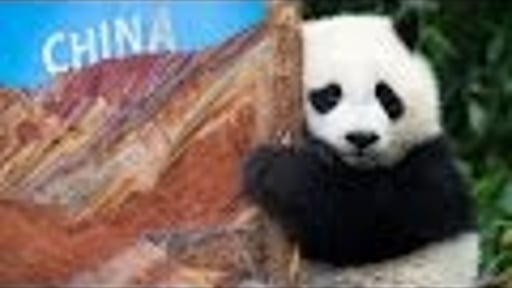 Panasonic GH4 4K: CHINA: CUTE & ROUGH - Rainbow mountains, pandas & traditional culture in 4K
