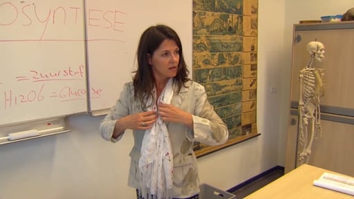 Brugklas adoptiemoeder