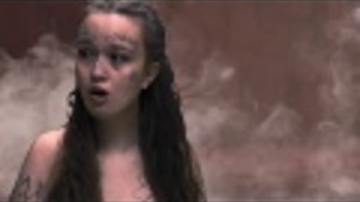 Musical The Lion King - Arm land/Shadowland