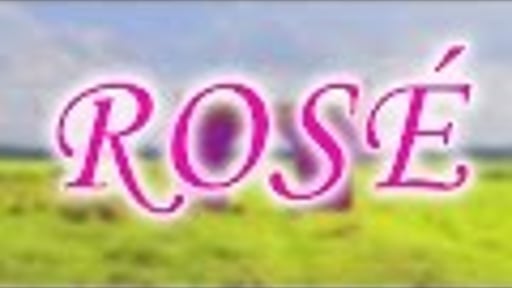 Korte film: Rosé | 48 HFP Cinekid | 2 Bier, 1 Cola!