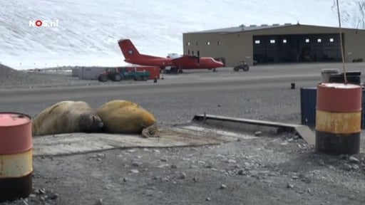 Antarctica Nederands Onderzoek