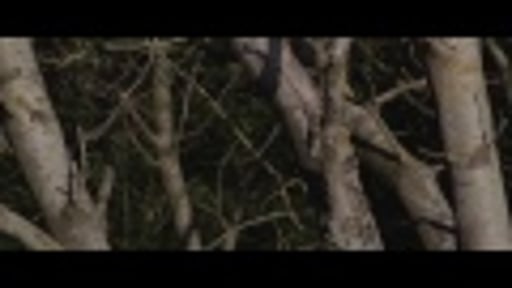 Nature & Its Wondurs Beauty (4K)