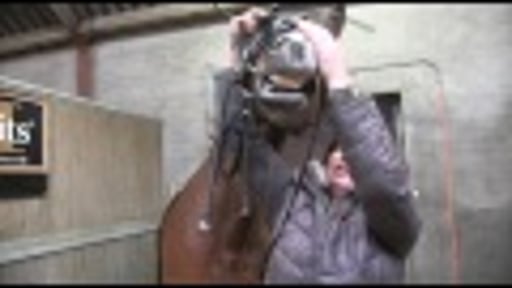 Promo De Paardenschuur