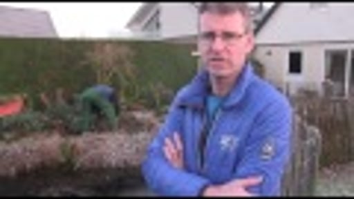 5 Promo Mocking Hoveniers