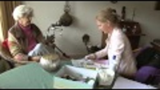 Van Kleef Docu