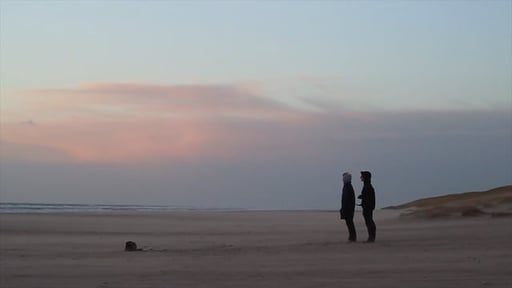 Showreel 2015 - Boris Swaen