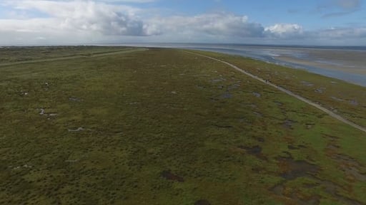 DRONE TEST FLIGHT