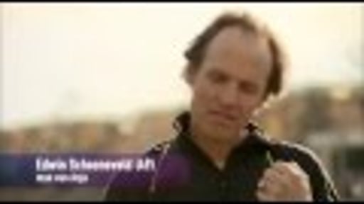 GJ LOUWE Recent TV Reel