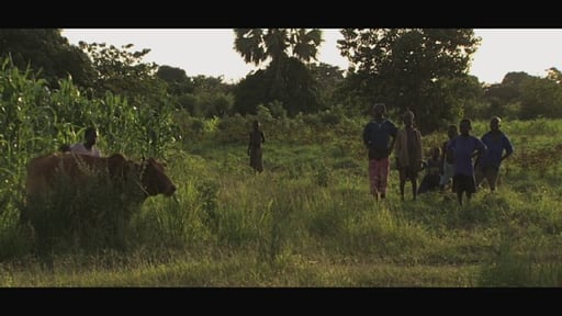 Saskia Adriaens Showreel