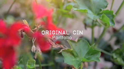 Original Cin Portfolio