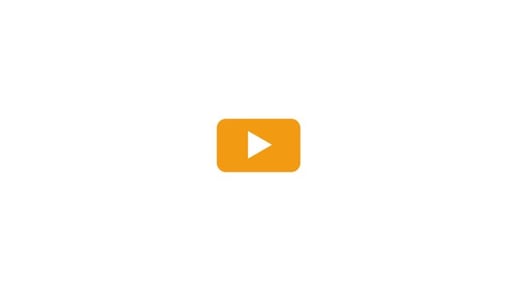 VideoBird Showreel