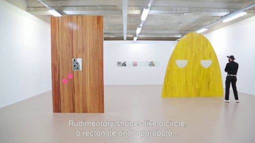 ARTtube - Sensory Spaces: Elad Lassry