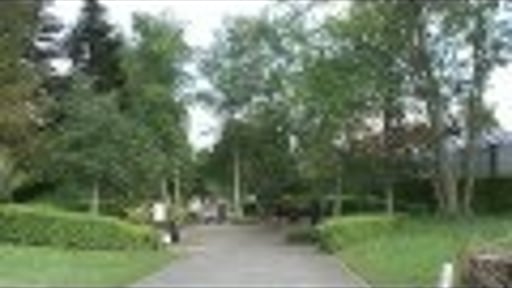 Expositie van de Nederlandse Kring van Beeldhouwers in de Hortus botanicus Haren