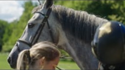 Hyperion Stud Sweden 2022
