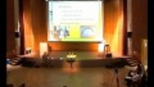 Profielmeesterstuk 2008