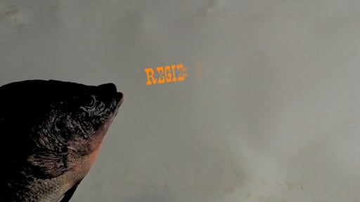 Title Animation - Il Pescatore! 