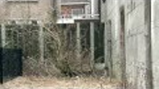 Foodscape Schilderswijk - An introduction