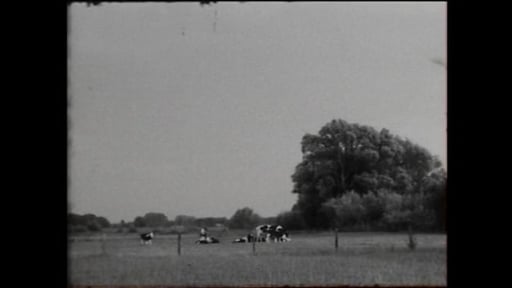 Landschap van Binnen // Inner Landscape