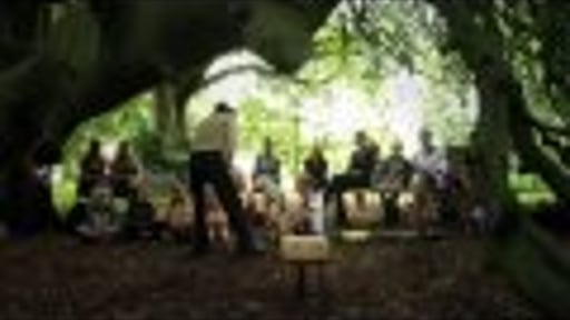 Bostheater onder de oude treurbeuk