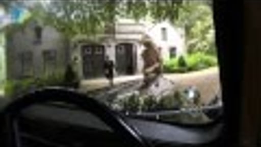 De Trouwe Rover Def MP4 YouTube 8Mbps